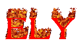 "ELY" as a flaming text gif